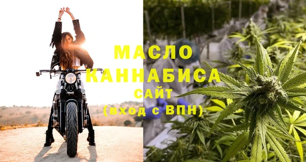 гашик Вязьма