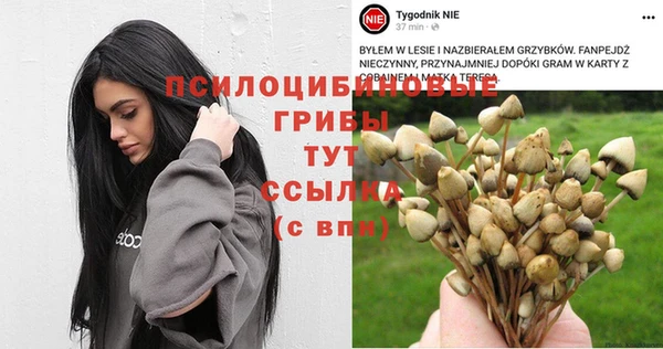 гидра Волоколамск