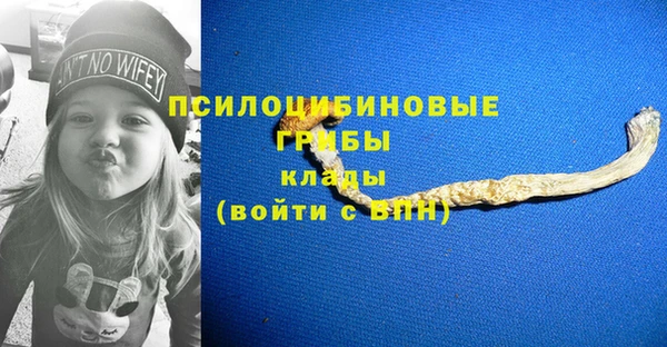 твердый Володарск