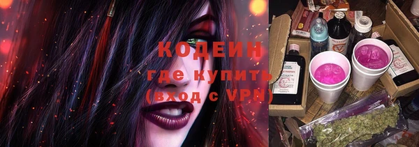 твердый Володарск