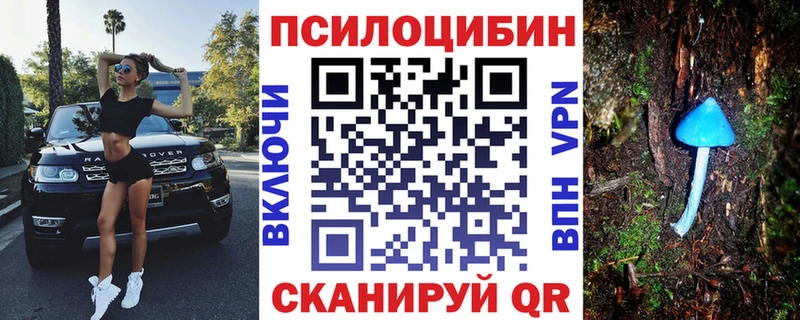 Псилоцибиновые грибы Cubensis  наркота  Подпорожье 